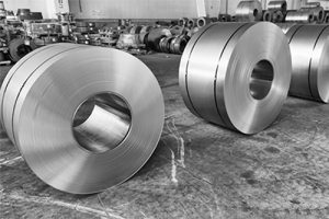 Stainless Steel (SS)